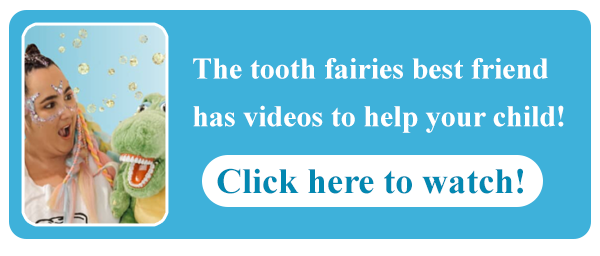 Looksee Dental Stan Store Link